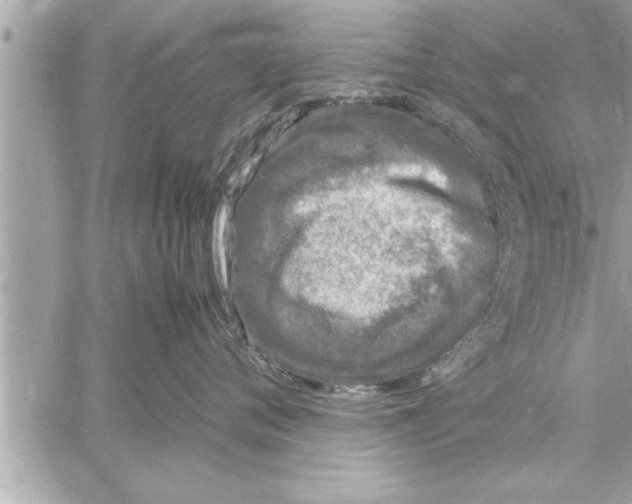 X0000059850720200511111811