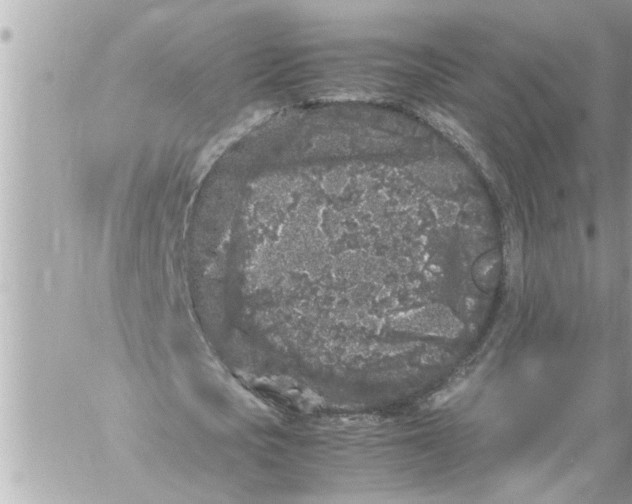 X0000059850721200511111810