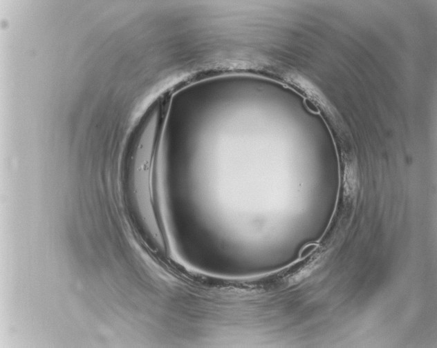 X0000059850722200511111810