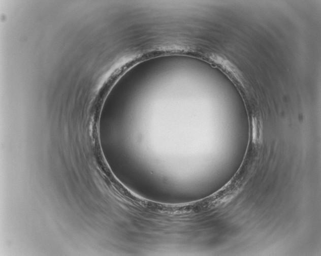 X0000059850723200511111810