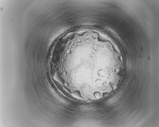 X0000059850725200511111810