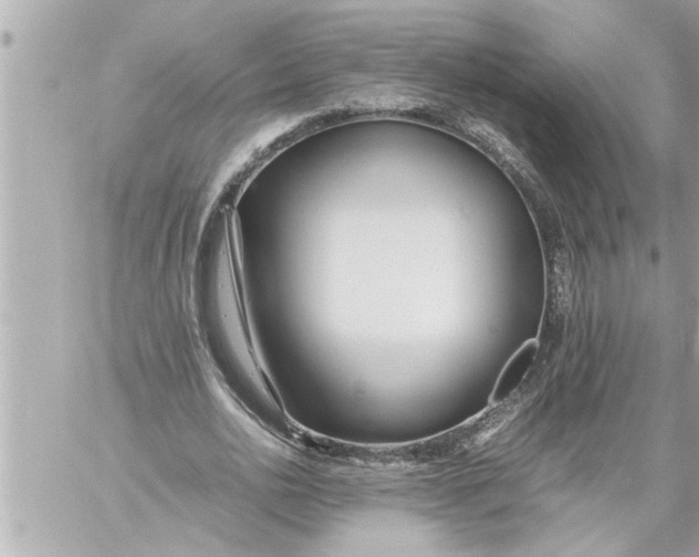 X0000059850726200511111810