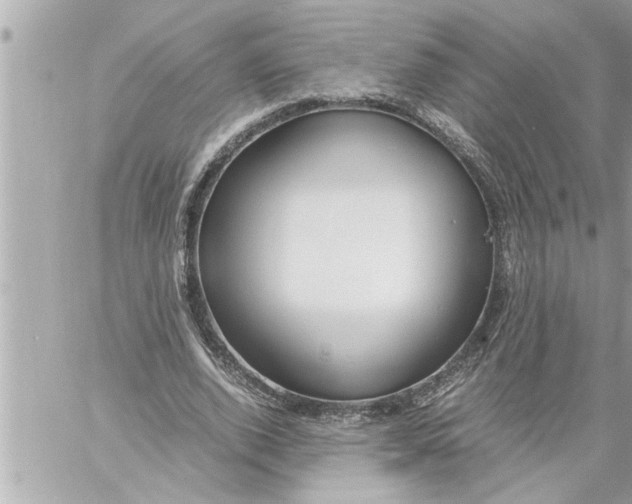 X0000059850728200511111810