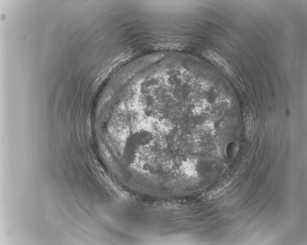 X0000059850729200511111810