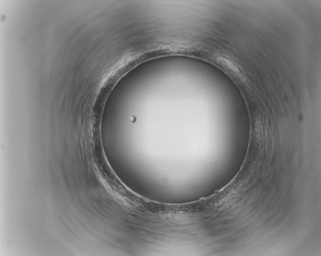 X0000059850730200511111810