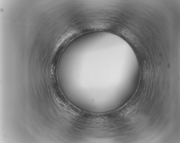 X0000059850731200511111810