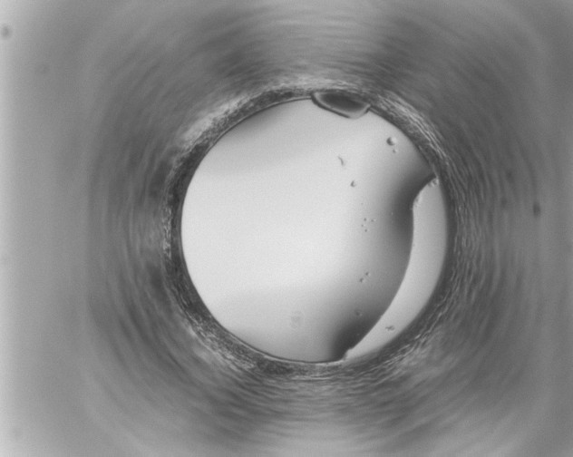 X0000059850732200511111810