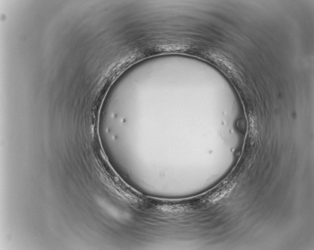 X0000059850733200511111810