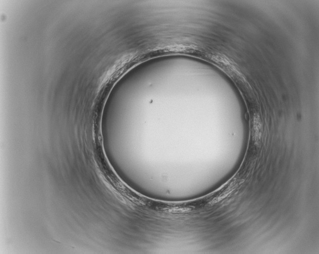 X0000059850734200511111810