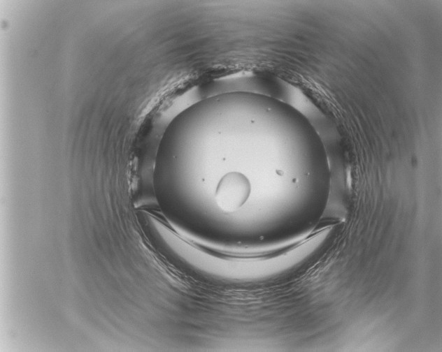 X0000059850735200511111810