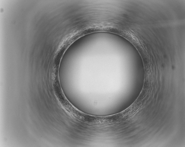 X0000059850736200511111810