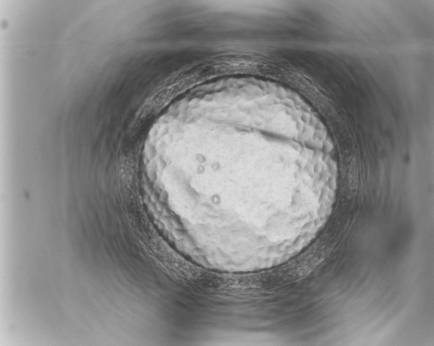 X0000059850737200511111810