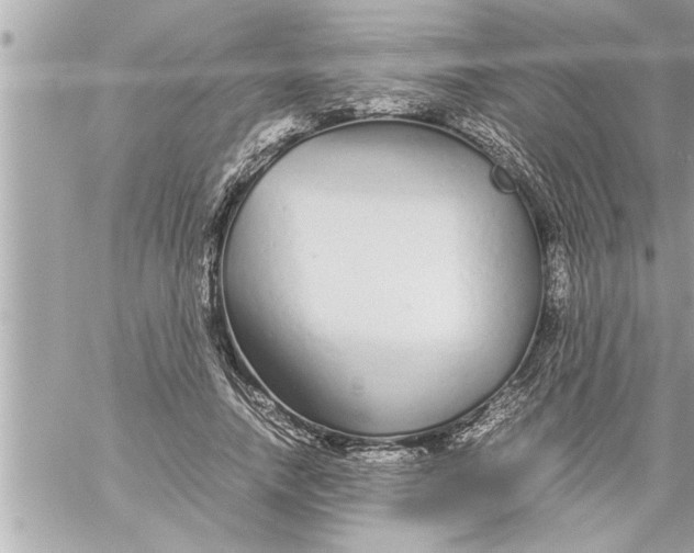 X0000059850738200511111810