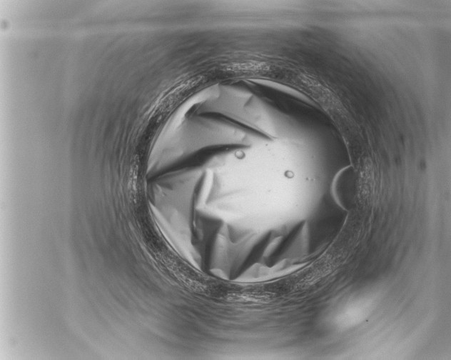 X0000059850739200511111810