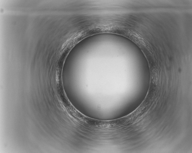 X0000059850740200511111810