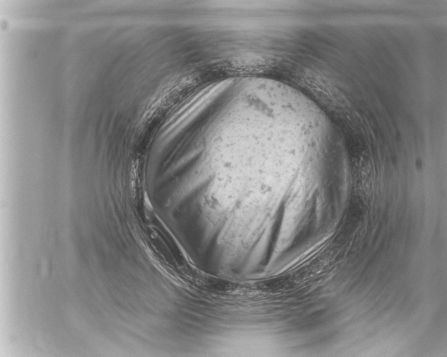 X0000059850742200511111810