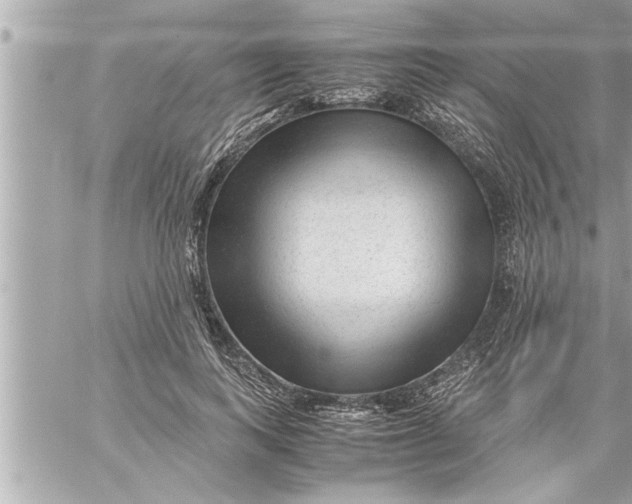 X0000059850743200511111810