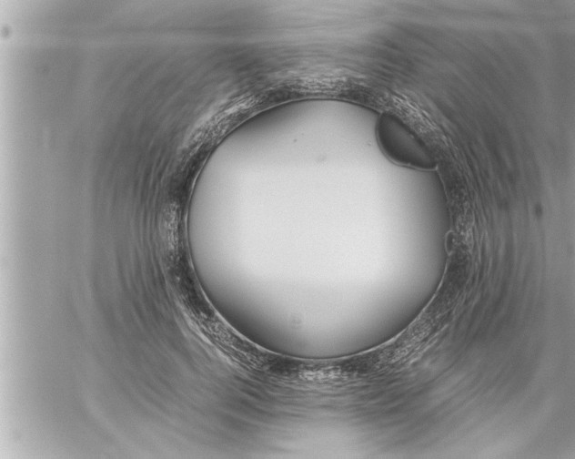 X0000059850744200511111810