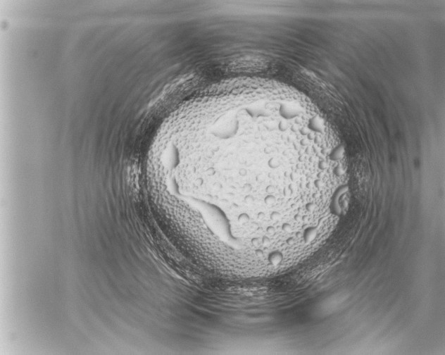 X0000059850745200511111810