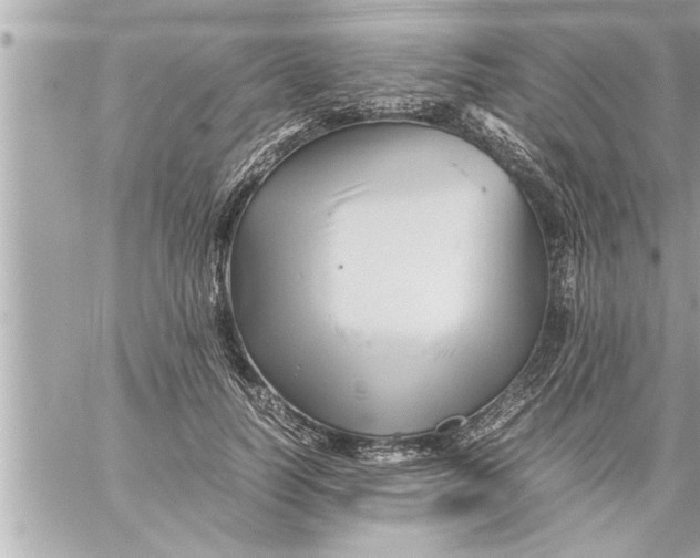 X0000059850746200511111810