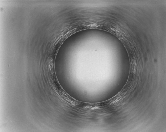 X0000059850747200511111810