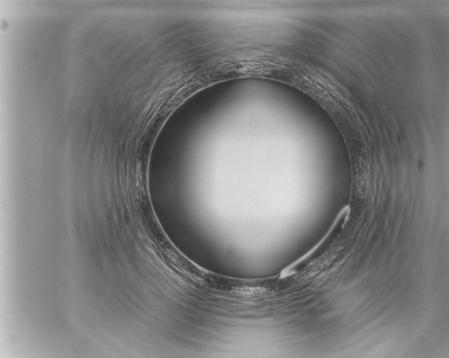 X0000059850748200511111810