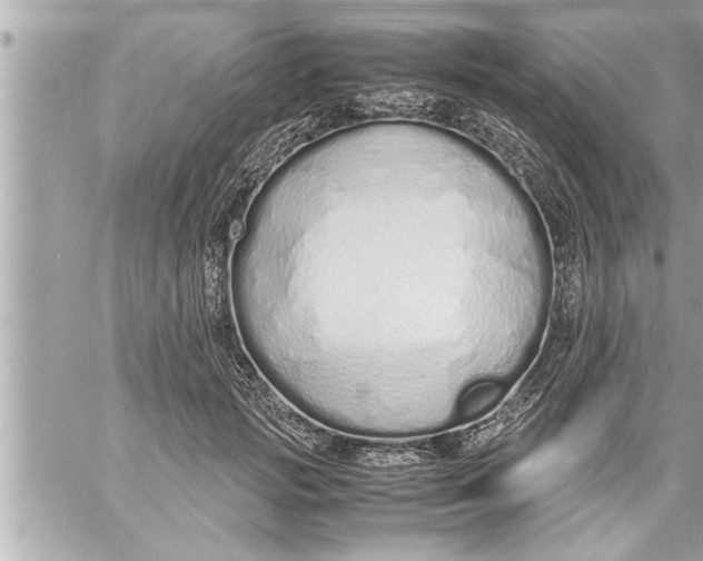 X0000059850749200511111811