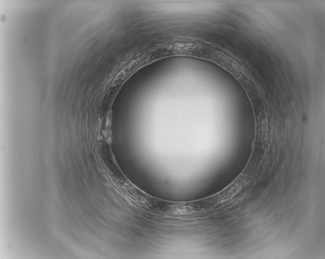 X0000059850750200511111811