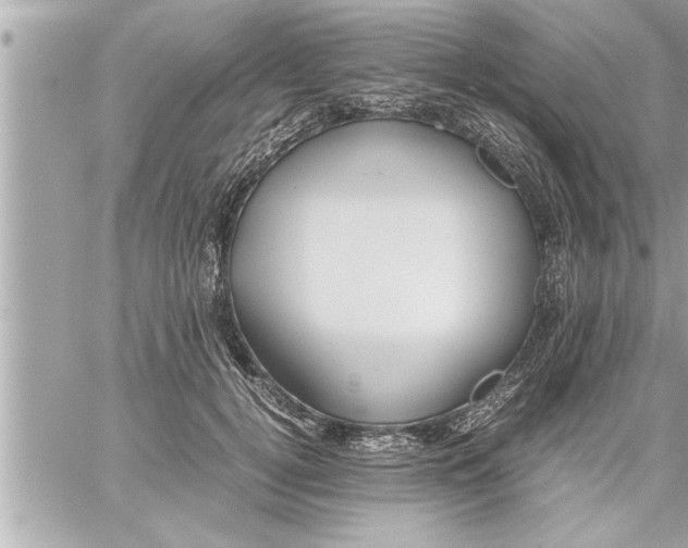 X0000059850752200511111811