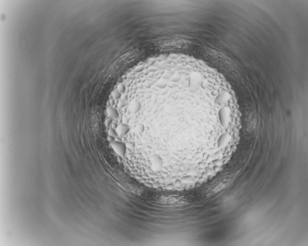 X0000059850753200511111811