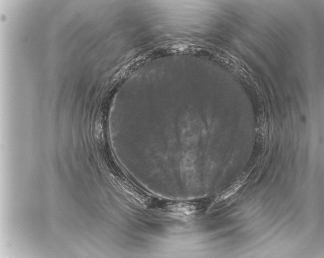 X0000059850754200511111811