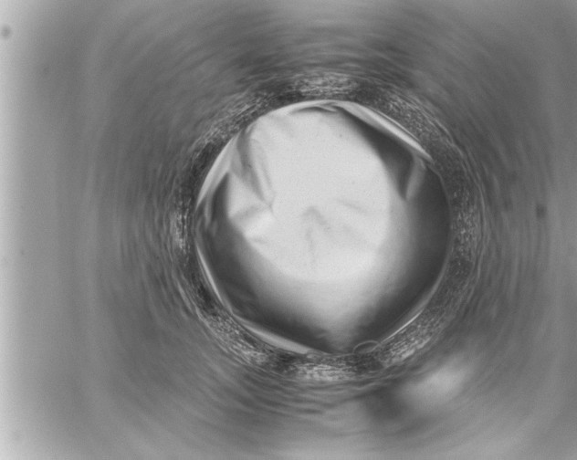 X0000059850755200511111811