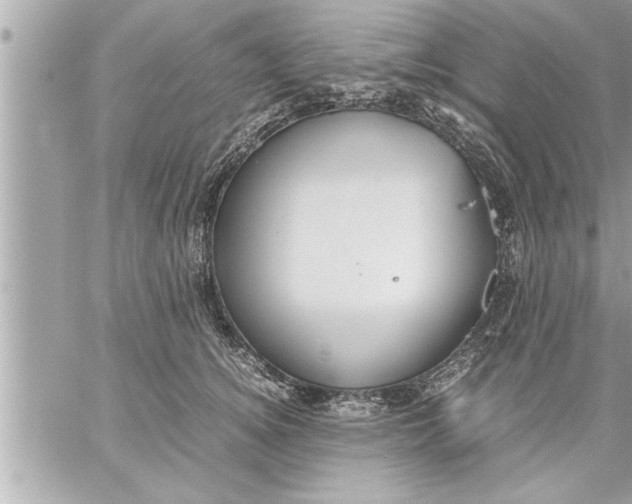 X0000059850756200511111811