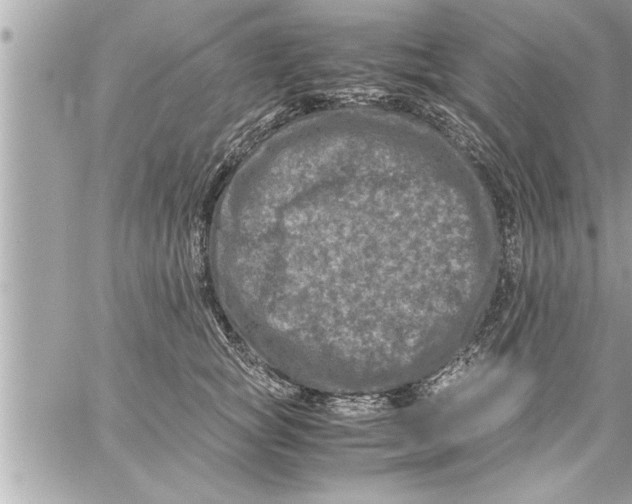 X0000059850757200511111811