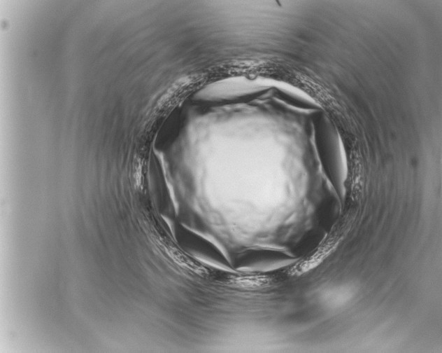 X0000059850758200511111811