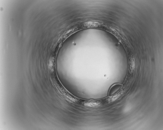 X0000059850759200511111811