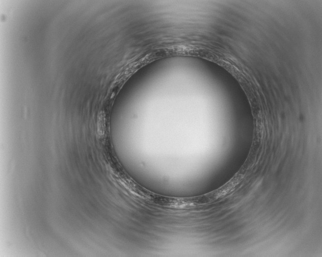 X0000059850760200511111811