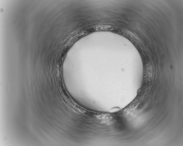 X0000059850761200511111811