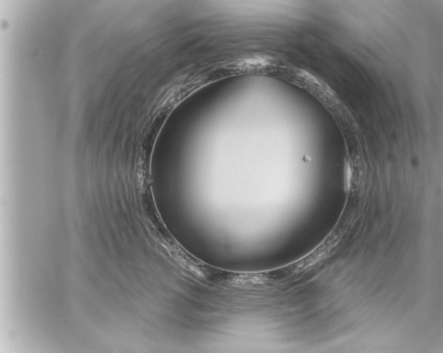 X0000059850762200511111811