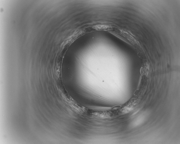 X0000059850763200511111811