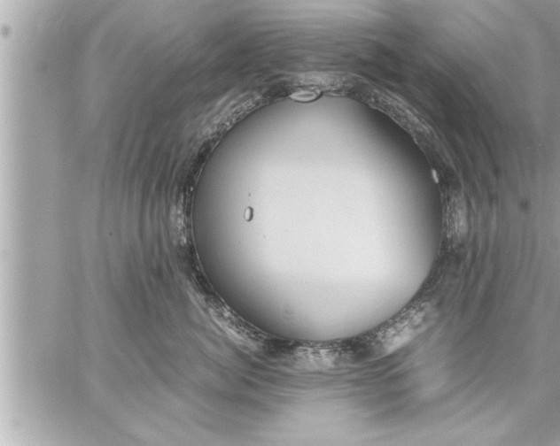 X0000059850764200511111811