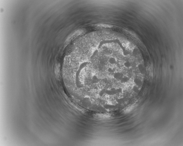 X0000059850765200511111811