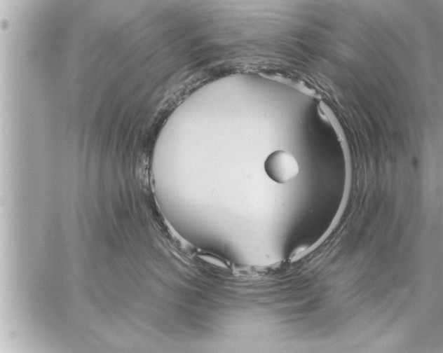 X0000059850766200511111811