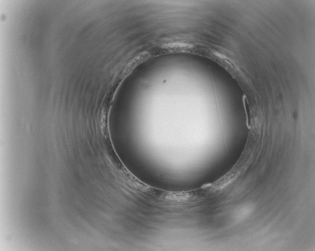 X0000059850767200511111811