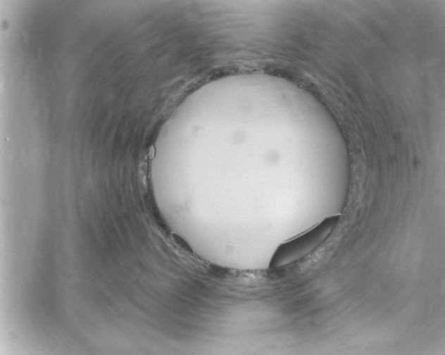 X0000059850768200511111811