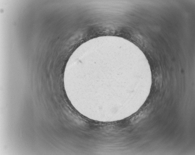 X0000059850769200511111810