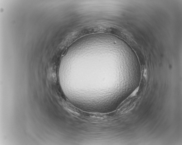 X0000059850771200511111810