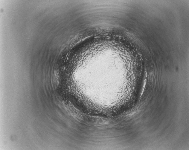 X0000059850772200511111810