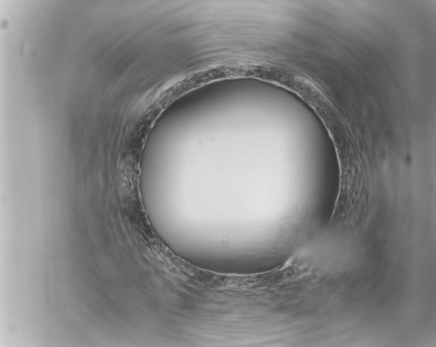 X0000059850773200511111810