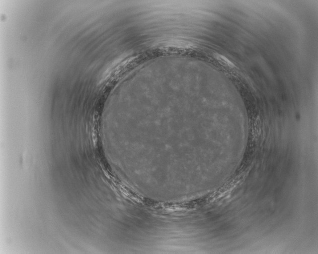 X0000059850774200511111810